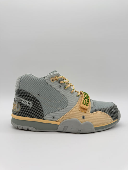Nike Air Trainer Travis Grey Haze