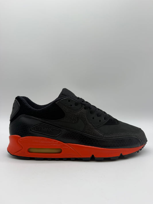 Nike Air Max 90 Powerwall