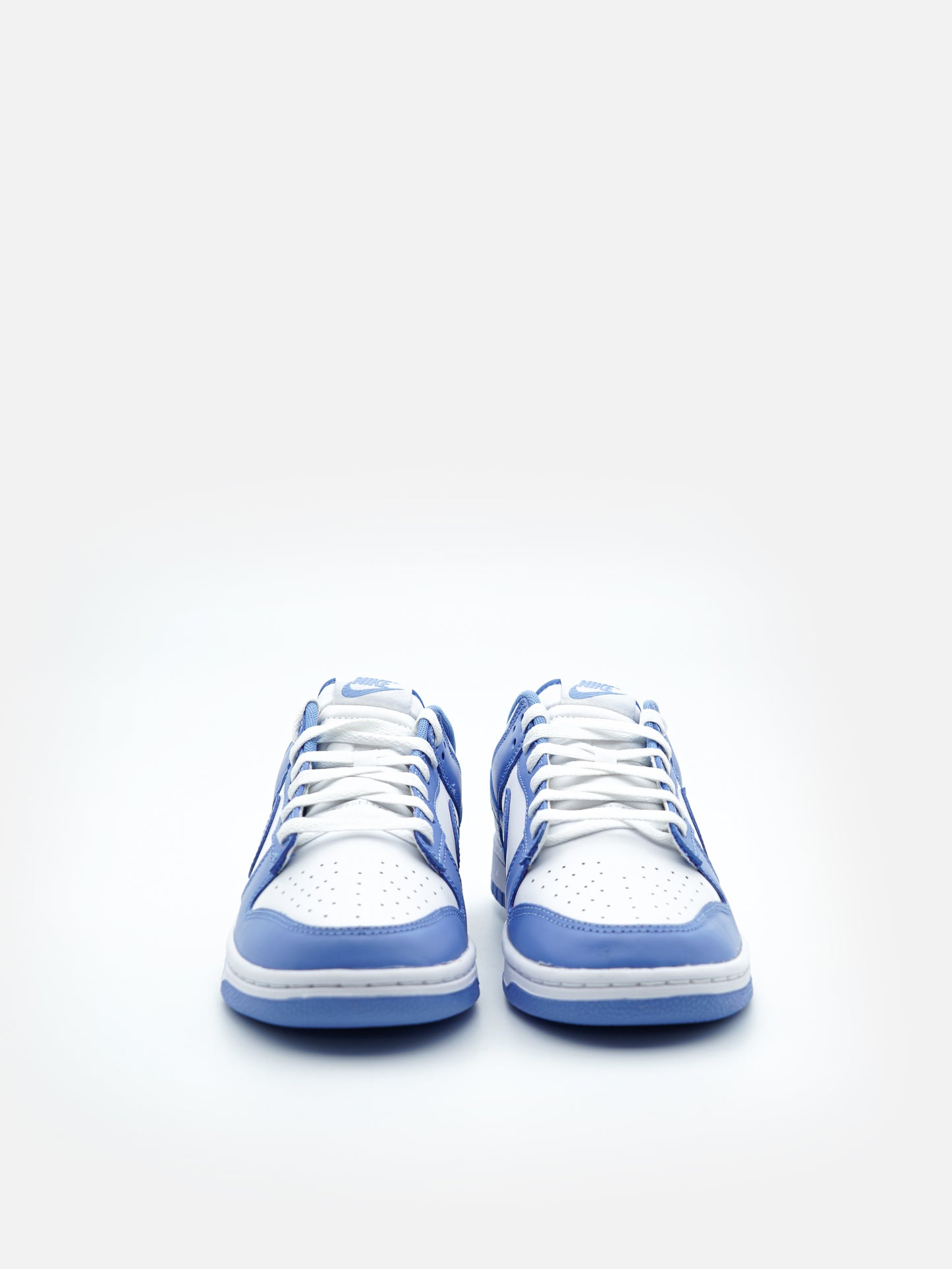 Nike Dunk Low Polar Blue