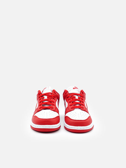 Nike Dunk Low St. John's - FLIPPR