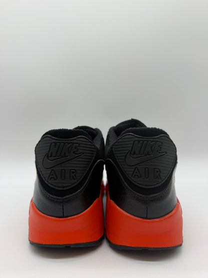 Nike Air Max 90 Powerwall