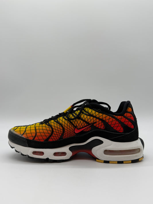 Nike Air Max Plus Greedy