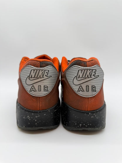 Nike Air Max 90 Mars Landing