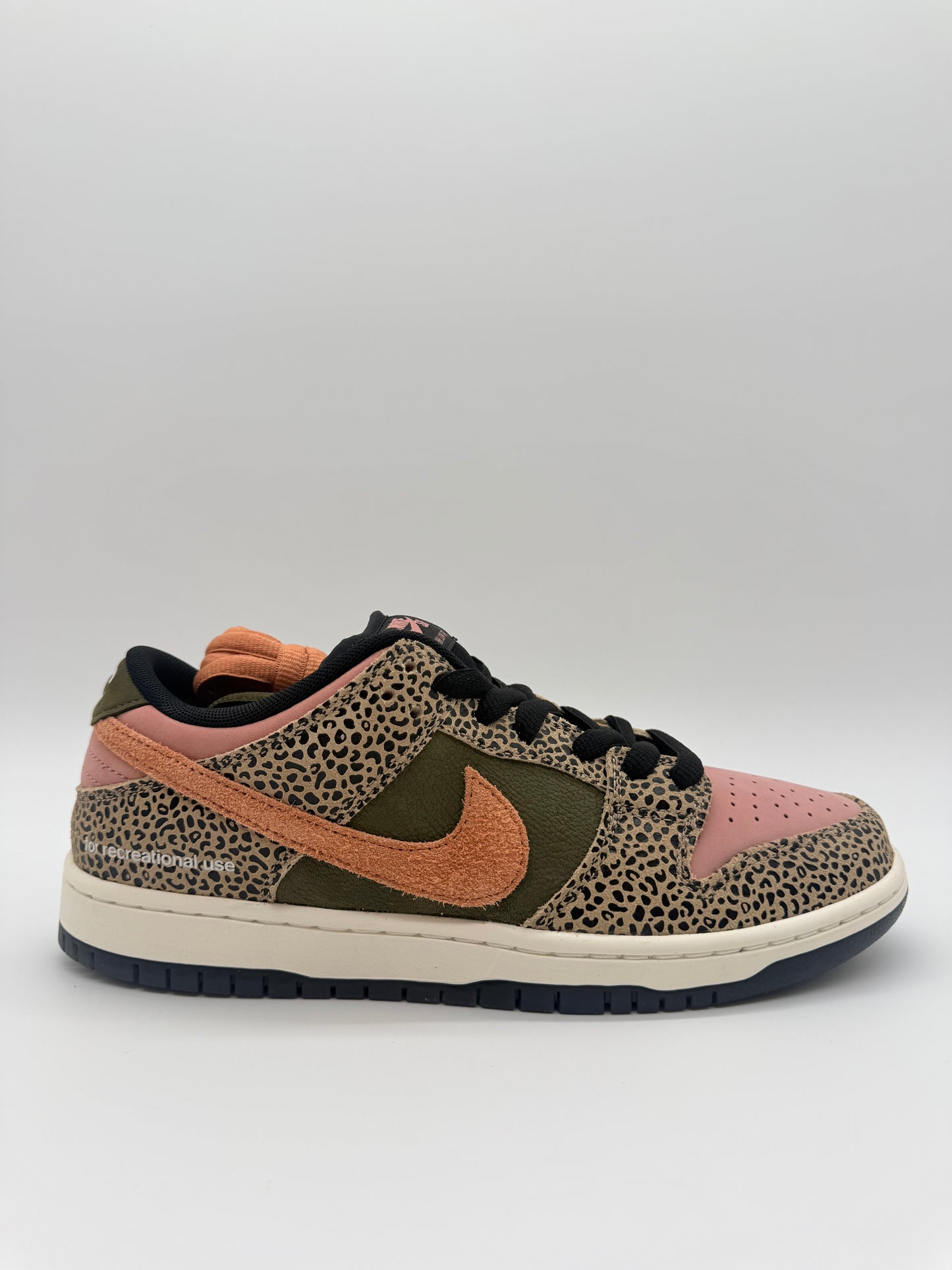 Nike Dunk SB low Arts-Rec