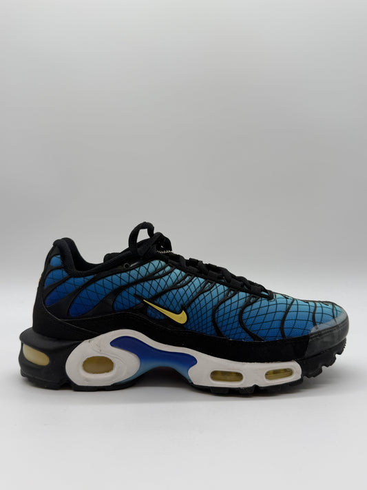 Nike Air Max Plus Greedy