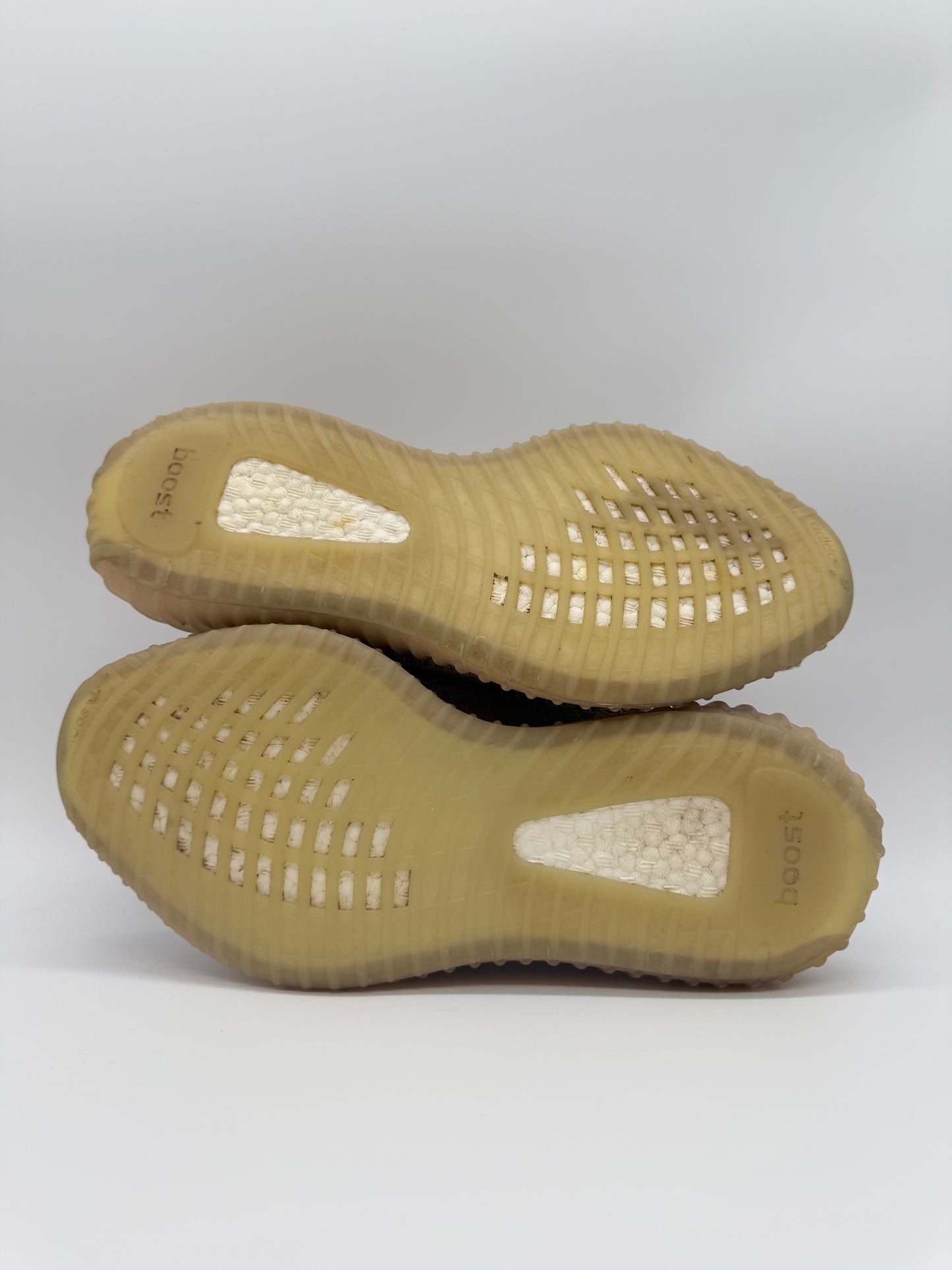 Yeezy Boost 350 V2 Trfrm