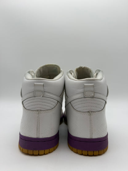 Nike Dunk High Deluxe Mita