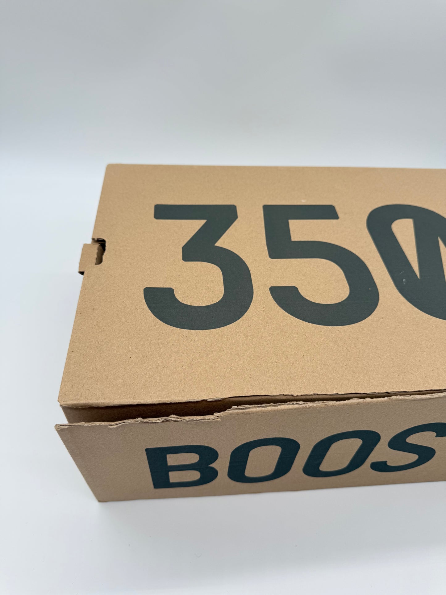 Yeezy Boost 350 V2 Dark Salt