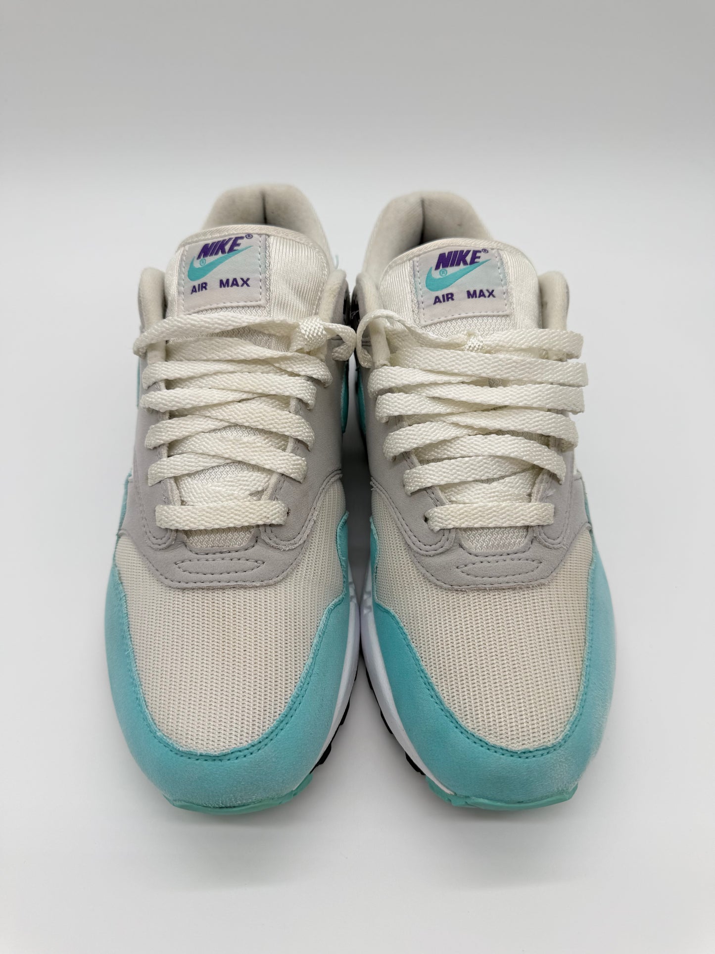 Nike Air Max 1 Anniversary Aqua