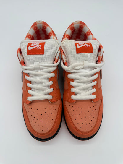 Nike SB Dunk Low Concepts Orange Lobster